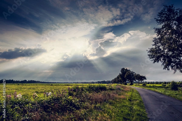 Obraz Herbst in der Marsch