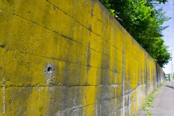 Obraz 古い黄色い壁