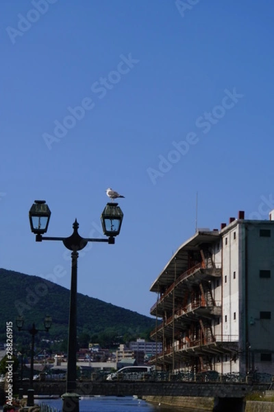 Obraz 小樽運河と鴎