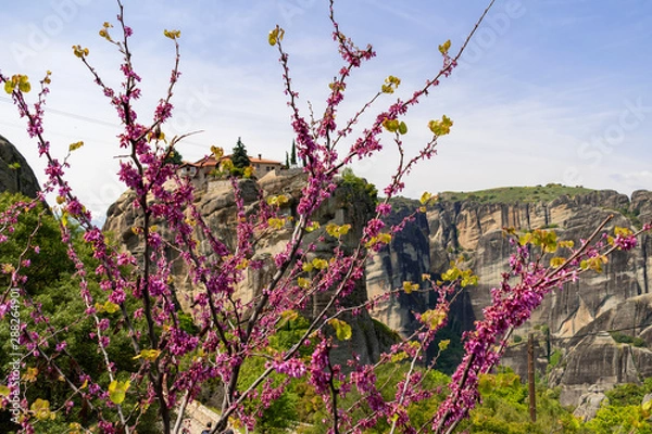Fototapeta mountain view
