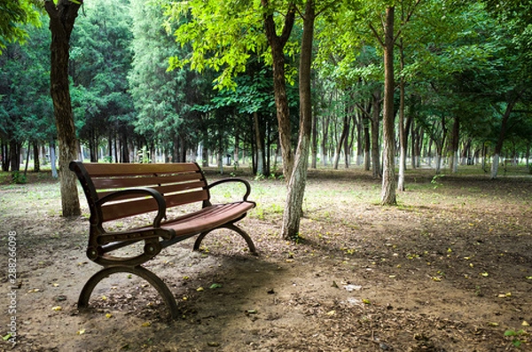 Obraz bench in the park