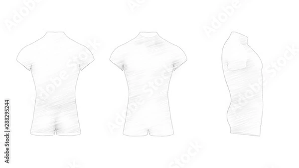 Fototapeta 3d rendering of a male torso isolated in white background