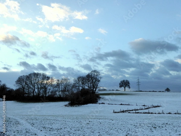 Fototapeta Winterlandschaft