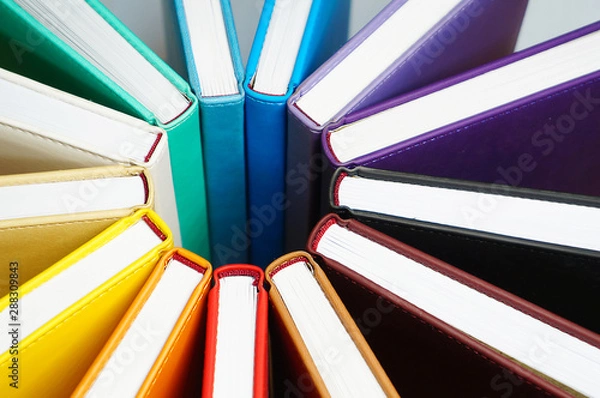 Obraz Books for colorful background. A lot of books with bright covers lined in circle. Design element, paper and leather texture, close up  