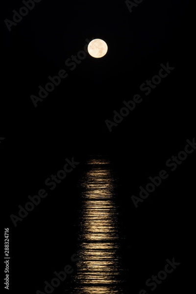 Obraz Supermoon over Water