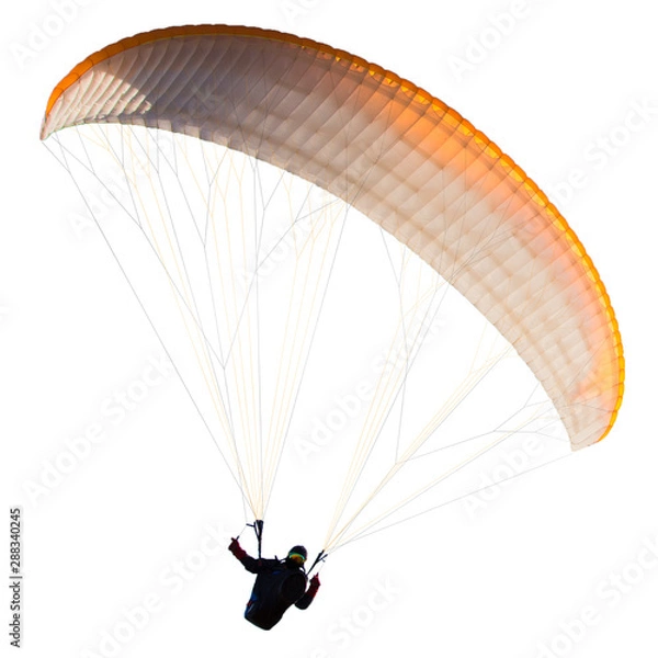 Obraz Beautiful paraglider in flight. isolated