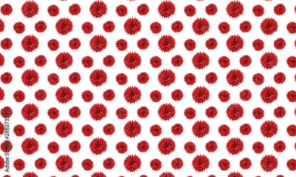 Obraz Red Flower Background
