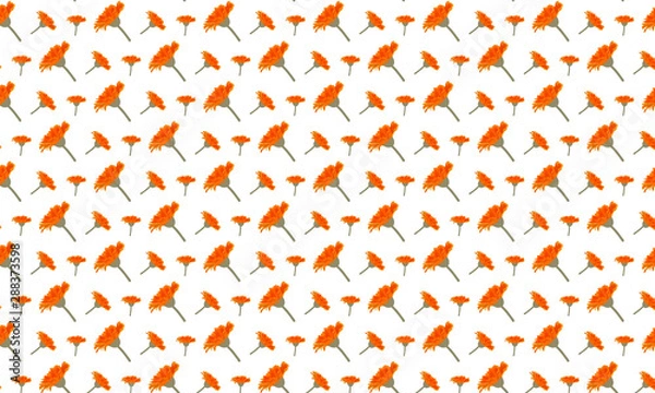 Obraz Yellow Euphorbia Leaves Pattern Background