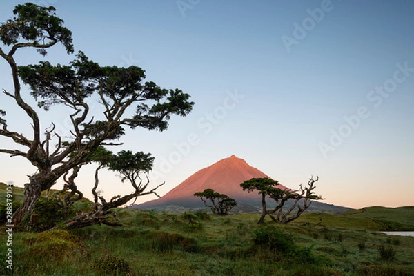Fototapeta First yellow red sunlight falling onto Ponta da Pico, Portugals highest mountain on Pico Island as seen from Lagoa do Capitão.