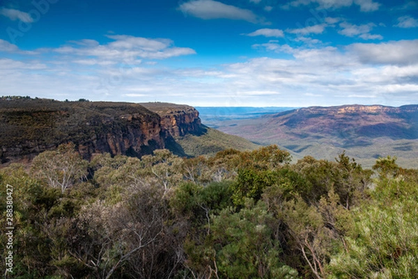 Obraz Blue Mountains