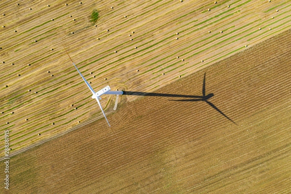 Fototapeta wind turbine on the arable field