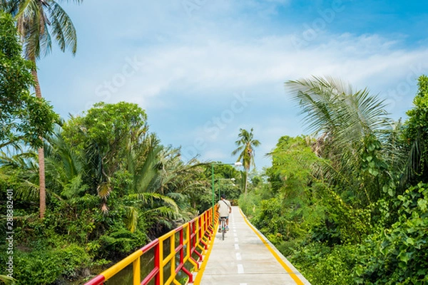Obraz Cycling in Bang Krachao, known as the Green Lung of Bangkok. A young man cycles along the pathway surrounded by lush tropical vegetation.