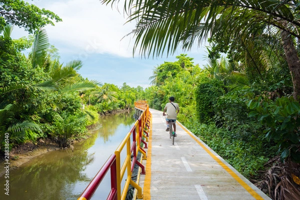 Obraz A young man cycles in Bang Krachao (Bang Kachao), along the moat and stilted pathway surrounded by lush tropical vegetation. Bang Krachao is known as the Green Lung of Bangkok.