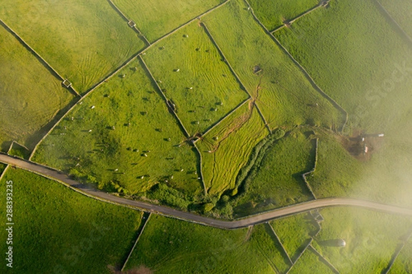Fototapeta aerial views on the typical abstract countryside of the east of Terceira Island