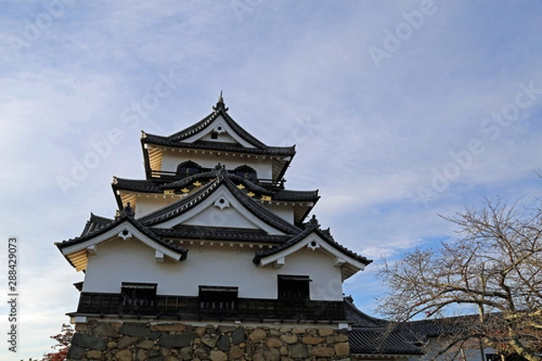 Fototapeta 晩秋の彦根城