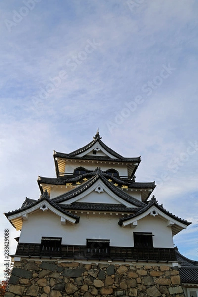 Fototapeta 晩秋の彦根城