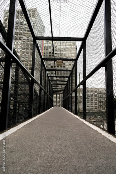 Obraz Atrévete a seguir