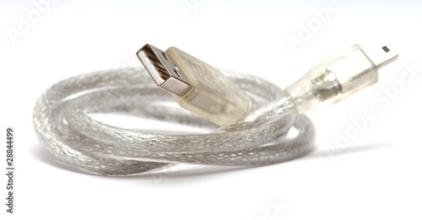 Fototapeta White USB cable