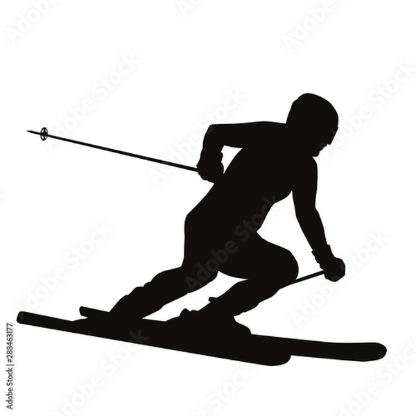 Obraz Skiing Silhouette