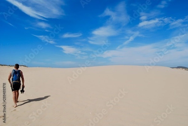 Obraz Walk alone