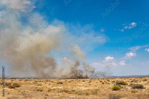 Obraz Desert Field on fire