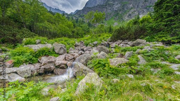 Obraz stream in the mountains