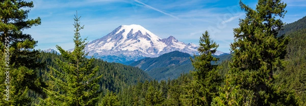 Obraz Panoramic image of Mount Rainier National Park in the state of Washington in August