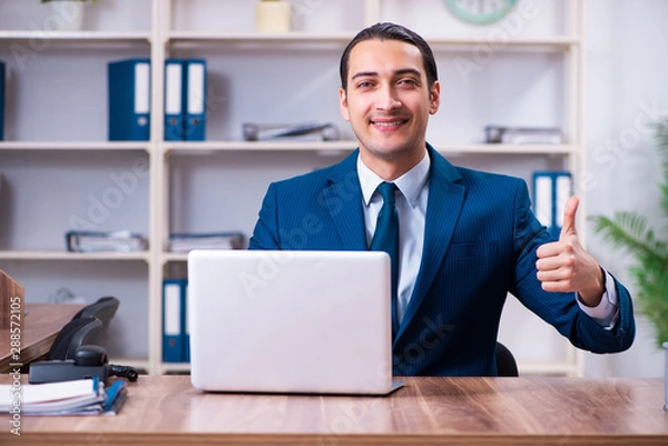 Fototapeta Young handsome businessman working in the office