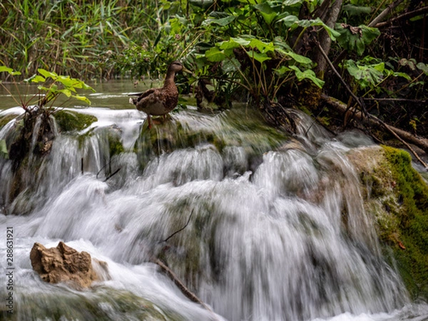 Fototapeta Plitvicer Seen