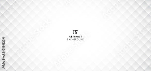 Fototapeta Abstract modern design gray and white grid pattern background with space for your text.