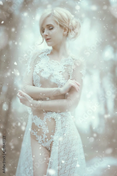 Obraz Winter Queen / 1