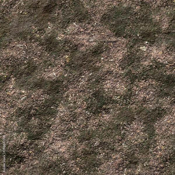 Obraz grass with bark and twigs