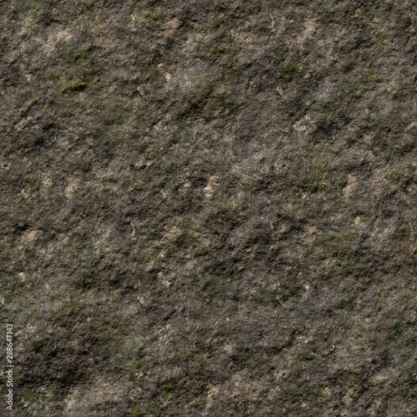 Obraz Mud with bits of grass