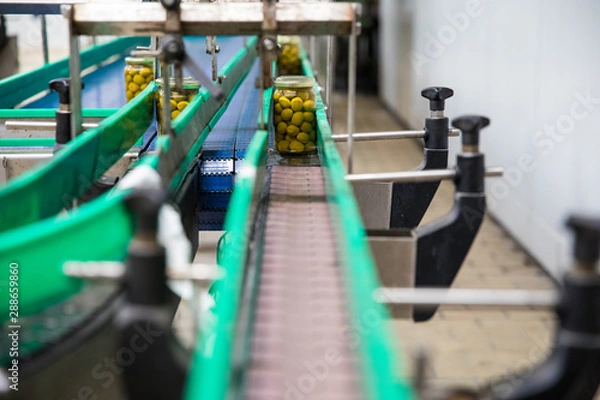 Obraz olives factory procedures