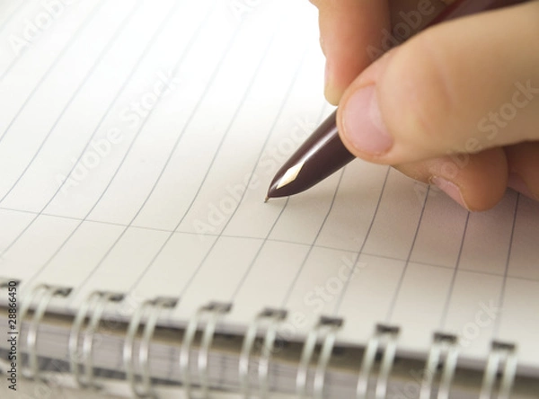 Obraz From a new sheet