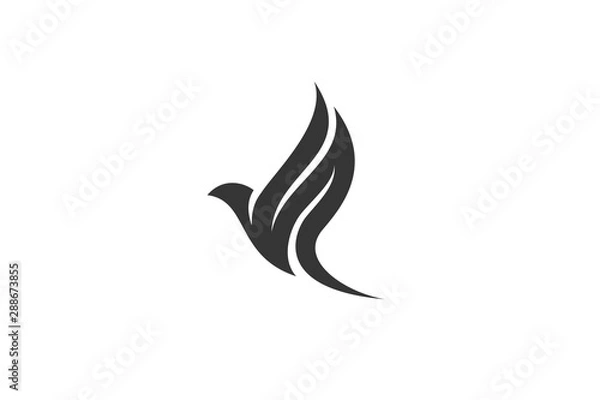 Fototapeta Flying Wings Bird Logo abstract design vector template