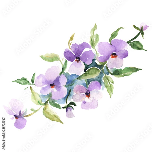 Fototapeta Bouquet floral botanical flowers. Watercolor background illustration set. Isolated bouquets illustration element.