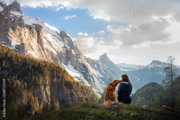 Obraz dziewczyna z psem w górach. Jesienny nastrój. Podróżowanie ze zwierzakiem. Nova Scotia Duck Tolling Retriever