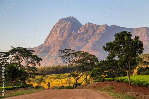 Obraz Mulanje Massif in Malawi
