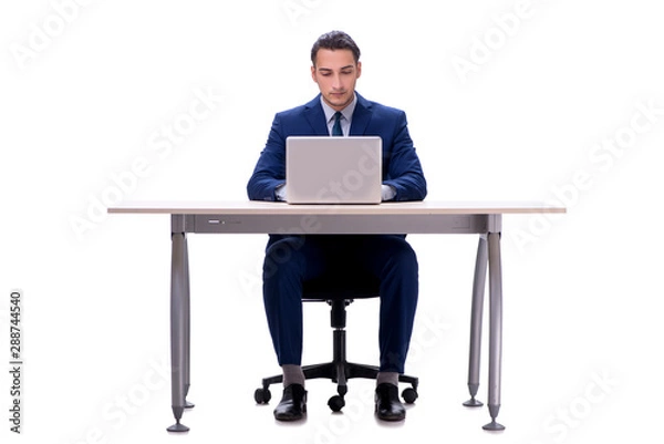 Obraz Employee working isolated on white background