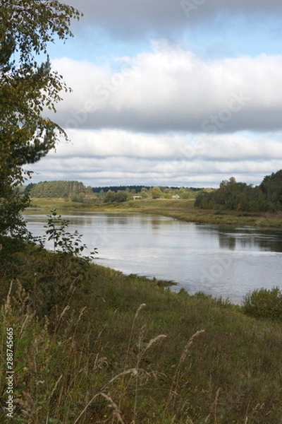 Obraz riverbank in the countryside on a summer day