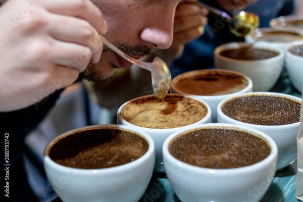 Obraz Coffee cupping