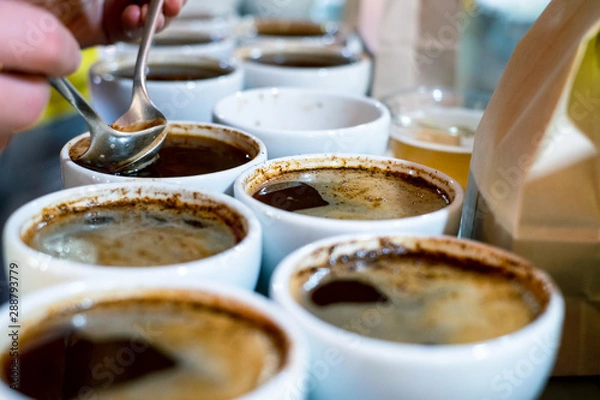 Obraz Coffee cupping