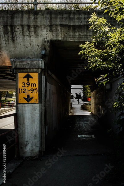 Obraz Walking Path Under The Bridge