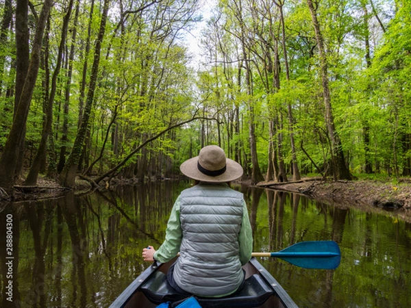 Obraz Woman in Canoe, Paddling Along a Forest Creek