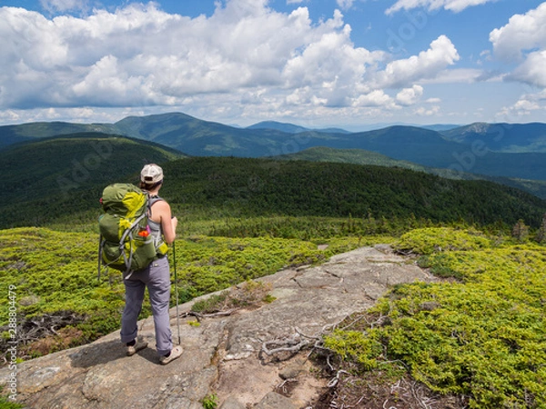 Obraz Backpacker Standing on Mountain, Looking Over Maine Forest Landscape