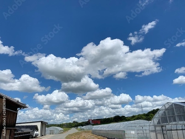 Obraz blue sky and clouds