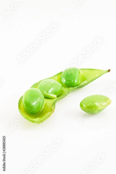 Obraz Soybean