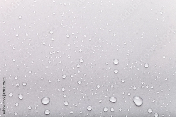 Obraz Drops of water on a color background. Gray