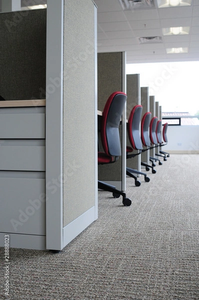 Fototapeta Offices in a row.